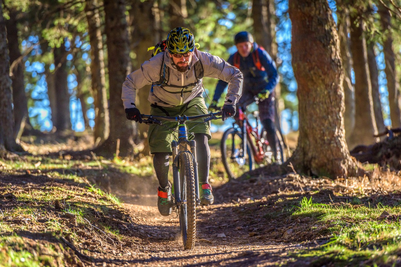 Descente à vtt en forêt